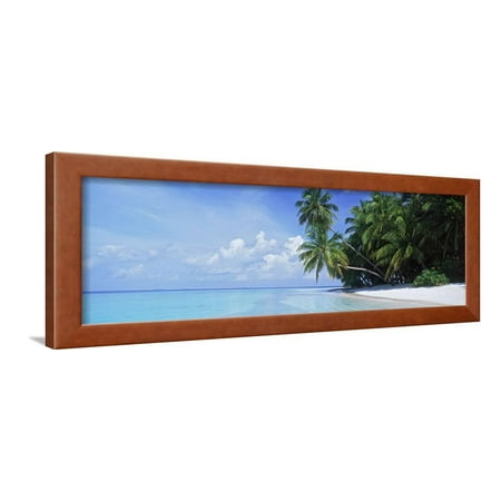 Standard Framed Panoramic Print - Palm Trees on the Beach, Fihalhohi Island, Maldives Framed Print Wall Art By Panoramic Images