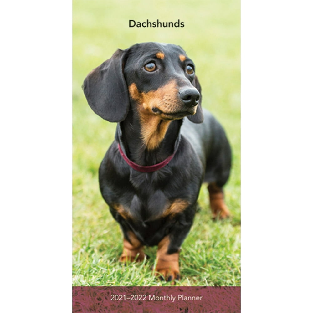 Dachshunds 2021 Pocket Planner (Other)