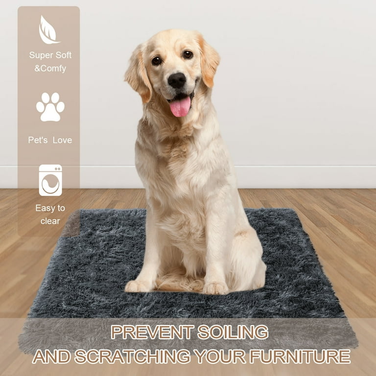 Dog scratching blanket cheap
