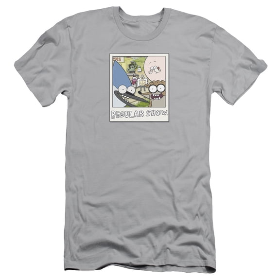 Regular Show Instant Picture S/S Adult 30/1 T-Shirt Silver