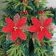 thumbnail image 4 of Decoración navideña con lentejuelas y flores | Arreglo floral de nailon artesanal con encaje, cascabeles y bordes dorados | Elegante adorno para árbol de Navidad para decoración navideña, 4 of 6