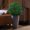 Green, variant on 2 PCS Artificial Topiary Boxwood Balls, Round UV Resistant Greenery Spheres Decorative Balls, Lifelike Grass Balls for Front Door Porch Balcony Patio Wedding Home Decor
