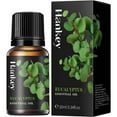 thumbnail image 1 of Plant Diffuser Essential Oil Pure Natural Therapeutic Grade Aromatherapy10m GXX, 1 of 8