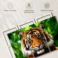 thumbnail image 6 of Elephant Stock Sumatran Tiger Gaze Wall Art - Horizontal Multi Panel Canvas - Living Room Wall Decor - Animal Multi Panel - Green And Brown Decor - 57" x 36", 6 of 8