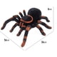 thumbnail image 3 of Juguete de araña con Control remoto, figuras de araña realistas, broma divertida, broma de miedo, regalos para decoración de fiesta de Navidad y Halloween, 3 of 9