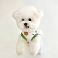 thumbnail image 2 of Zhuge Chaleco para perros y gatos, chaleco transpirable para mascotas, sudadera para cachorros, ropa para perros, atuendos, abrigos para perros pequeños, medianos y gatos, L, raya roja, 2 of 3