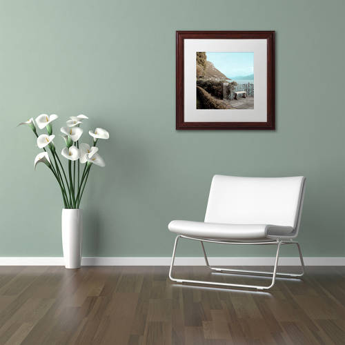 Trademark Fine Art "Lake Vista IV" Canvas Art by Alan Blaustein, White Matte, Wood Frame
