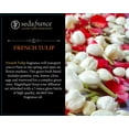 thumbnail image 5 of Seda France Recambio Difusor Tulipán Francés, 5 of 5