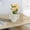 White, variant on EWASWON Small Shatterproof Pink Plastic Vase for Wedding Centerpieces, Modern Tabletop Decor for Home Office Desk