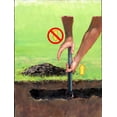 thumbnail image 3 of GopherHawk Piège Simple, 3 of 4