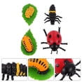 thumbnail image 4 of 4 figuras de insectos con el ciclo de vida de la mariquita, adornos, divertido juguete para niños, 4 of 7