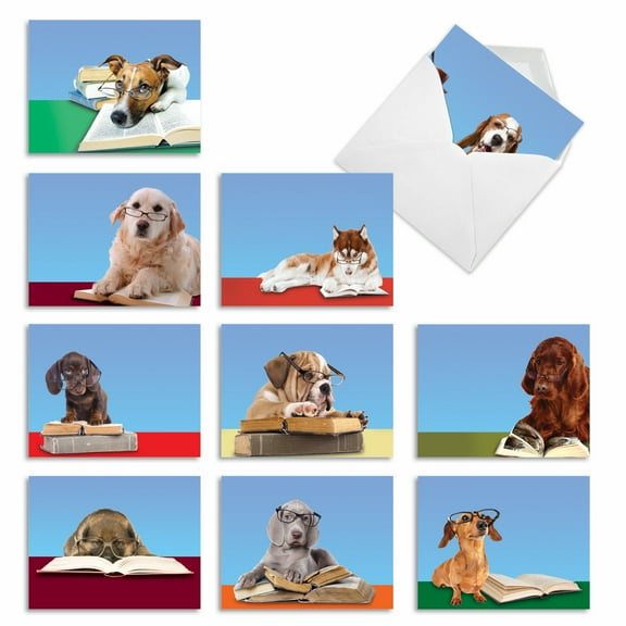 10 All Occasion Blank Note Cards Assorted (4 x 5.12 Inch) - READING EYE DOGS M3967
