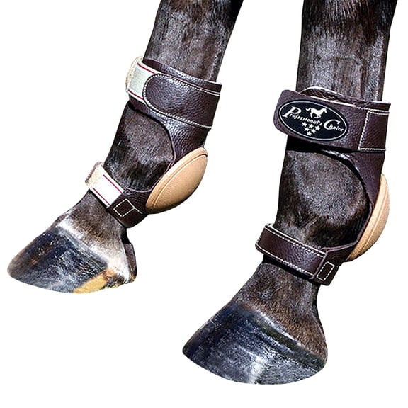 Protect Your Horse: Professionals Choice Leather Skid Boots