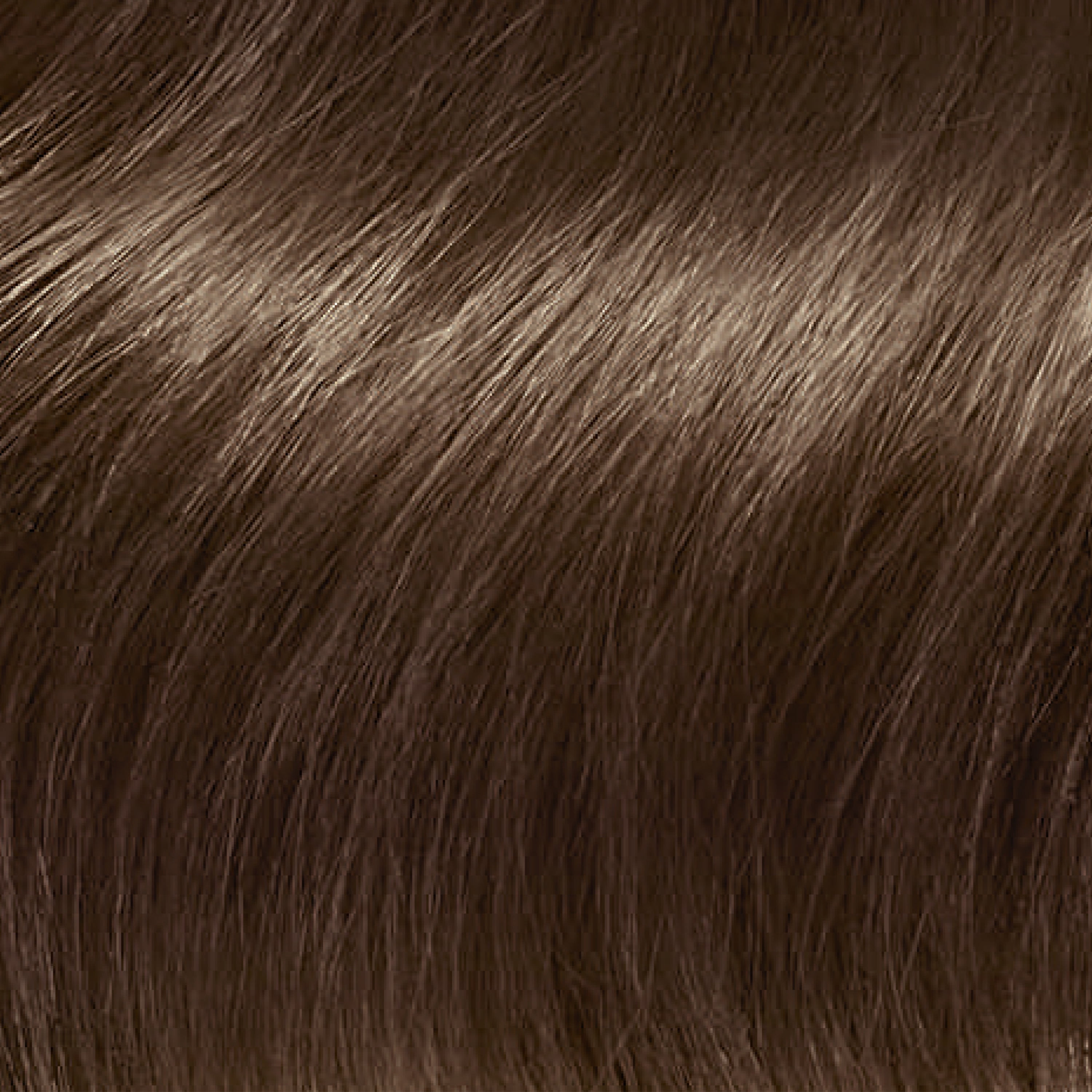Clairol ColorStrong Permanent Zero Ammonia Hair Dye, 6.0 Light Brown - Roma Hair Color, 1 kit