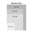 thumbnail image 4 of Juego de mantas American Baby Company Heavenly Soft Chenille, 4 of 4