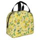 thumbnail image 2 of Easygdp Lemon (2) Bolsa Térmica Premium - Tela Oxford Impermeable, Gran Capacidad, Bolsillo Frontal, Unisex para Trabajo, Escuela, Actividades al Aire Libre y Picnics, 2 of 8