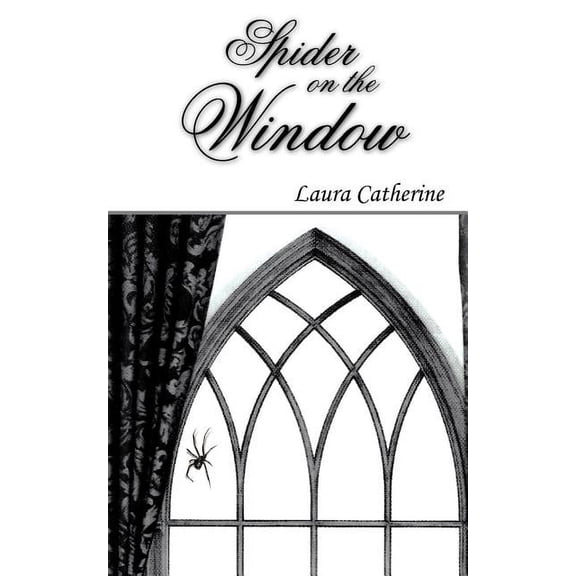 Spider on the Window, (Paperback)