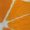 BZA137, variant on Oranges juicy fresh bright citrus Sports Dresses Women Tennis Dress Outdoor Badminton Golf Quick-Drying And Breathable Sports Dress