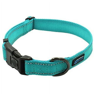 Max and neo dog gear martingale chain dog outlet collar