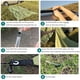 thumbnail image 4 of TFixol Auto Canopy Tent Roof Top para SUV Coche Camping al aire libre, 4 of 8