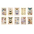 thumbnail image 1 of CAROOTU Scrapbooking Material Paper Exquisite Beautiful Decoration Craft Kits For Notebook Scrapbooking, 1 of 6