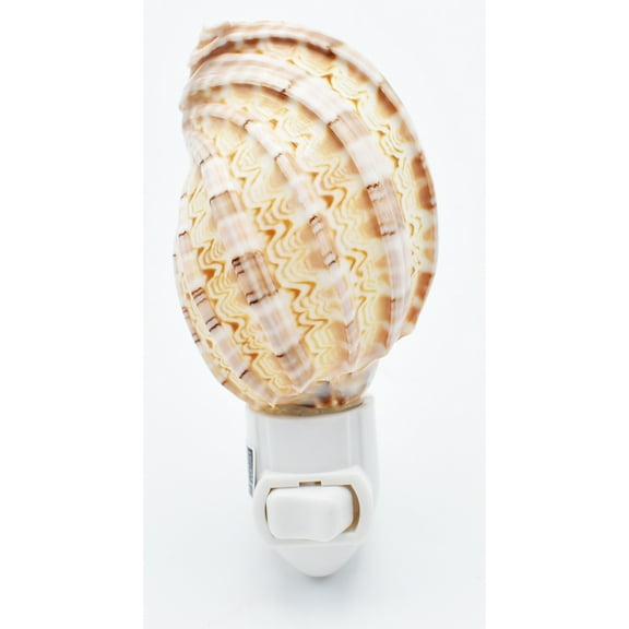 Florida Shells and Gifts Seashell Night Light Nitelight Harpa Shell 3" Nautical Gift Coastal Decor Beach