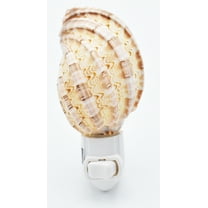 Florida Shells and Gifts Seashell Night Light Nitelight Harpa Shell 3" Nautical Gift Coastal Decor Beach