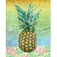 thumbnail image 2 of K, Onna 26x32 Gold Ornate Wood Framed with Double Matting Museum Art Print Titled - Summer Splash Pineapple, 2 of 4