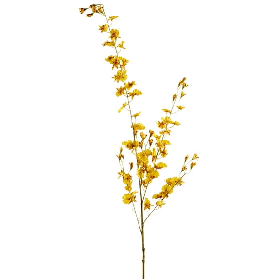 12 Pack: Yellow Dancing Orchid by Ashland