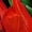 #2_Red, variant on Womens Boho Floral Sleeveless Maxi Dress V Neck Flowy Long Sundress Casual Summer Party Vacation Cruise Beach Outfits