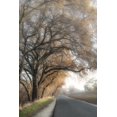 thumbnail image 2 of Poinski, Dianne 13x18 Black Ornate Wood Framed with Double Matting Museum Art Print Titled - The Road Less Traveled 1, 2 of 4
