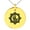 Gold, variant on Stainless Steel Blood Magic Rune Engraved Small Medallion Circle Charm Pendant Necklace