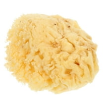 GOOHOCHY Sea Sponge for Kids Painting Soft Easy to Hold Multi-Functional Watercolor Tool Water Absorption, Ideal for Professional Creation Suitable for DIY Texture Painting