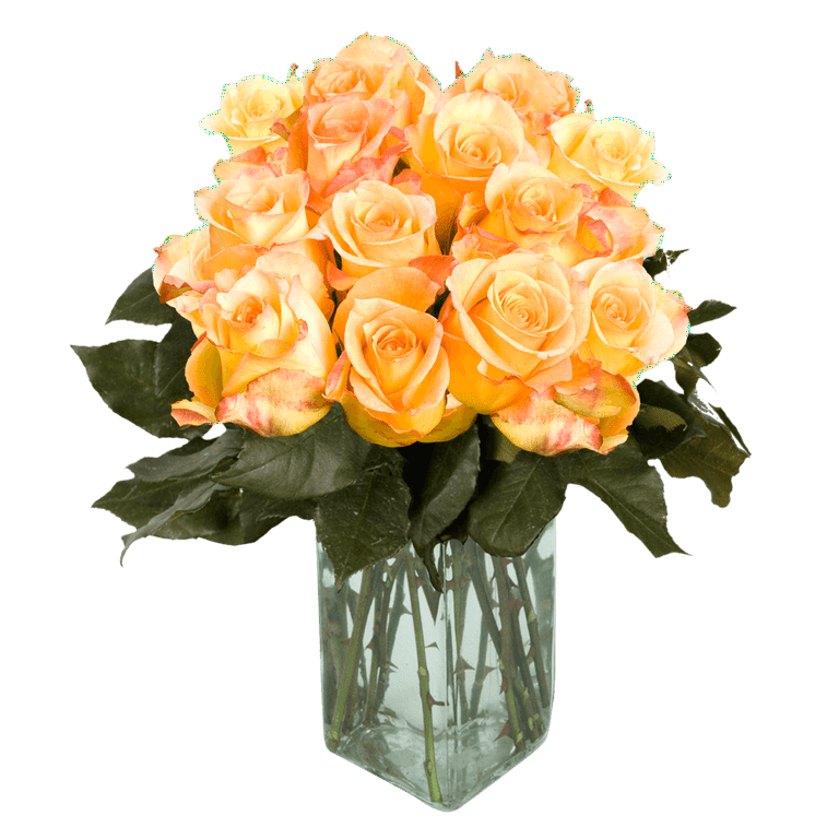 50 Stems of Yellow With Red Tips Latin Beauty Roses- Beautiful Fresh Cut  Flowers- Express Delivery 