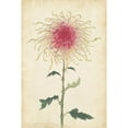 thumbnail image 2 of Marmont Hill "Chrysanthemum I" Painting Print on Wrapped Canvas, 2 of 7
