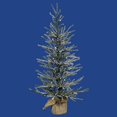 thumbnail image 1 of Vickerman 24" Frosted Angel Pine Artificial Christmas Tree with 35 Warm White LED Lights -B165125LED, 1 of 3