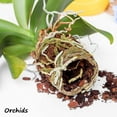 thumbnail image 5 of Horticultural Grade Perlite - One 8 Quart Bag ~2 Lbs - (~1/8 Inch Particles) - Soil Amendment Additive - for Growth, Aeration & Drainage for Potting Mix, 5 of 7