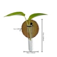 thumbnail image 3 of Wall Mounted Glass Planter, Natural Wood Slice Single Test Tube Hydroponic Vase, Hanging Plant Propagation Station for Indoor Home Decor and Office Wall Art Decoration, 3 of 6