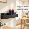 4ic Aerosol Spray Can Holder 16.54 Inches Black - Walmart.com