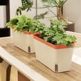 thumbnail image 3 of AYYUFE Self Watering Plant Pot Rectangle Modern Double Layer Indoor Windowsill Desktop Flower Herb Succulent Planter Box Gardening Supplies, 3 of 8