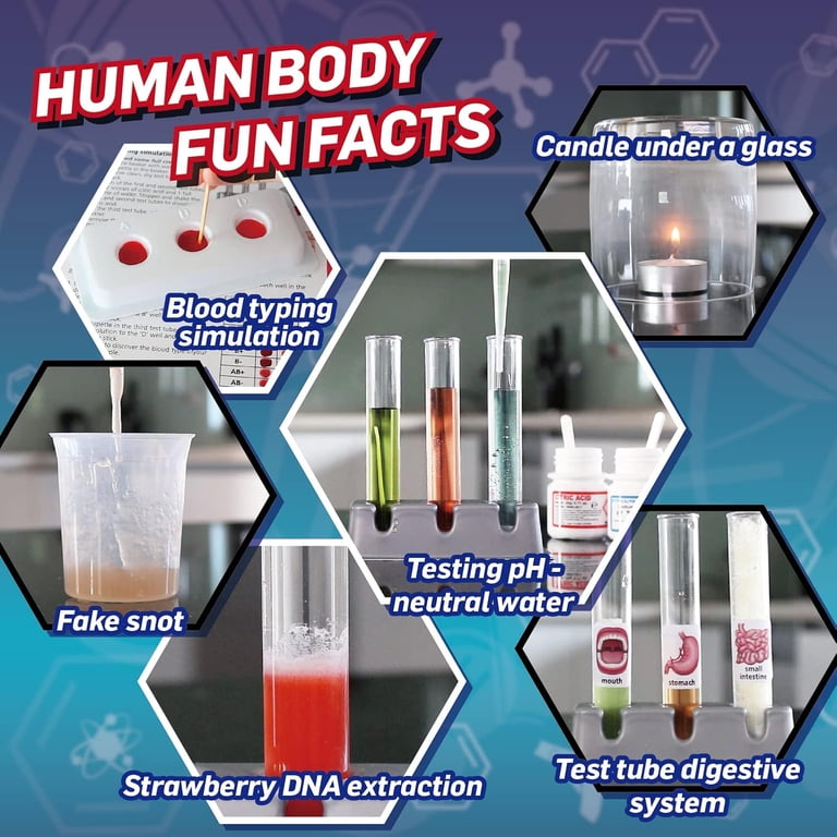 WILD ENVIRONMENTAL SCIENCE STEM Kit (8+) - Lab Experiment Toy