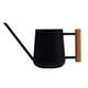 thumbnail image 1 of Regadera para Plantas de Interior Perfecl 900 ml Acero Inoxidable Negro, 1 of 8