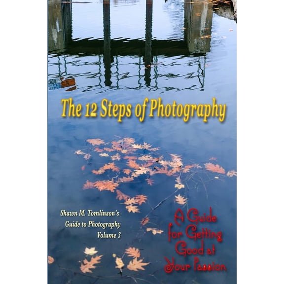 The 12 Steps of Photography (Paperback)
