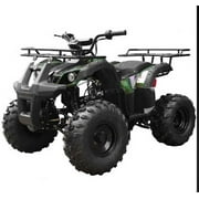 Tao Tao T Force 125 cc ATV Reverse and Big 19 18 Tires Utility Model Carb
