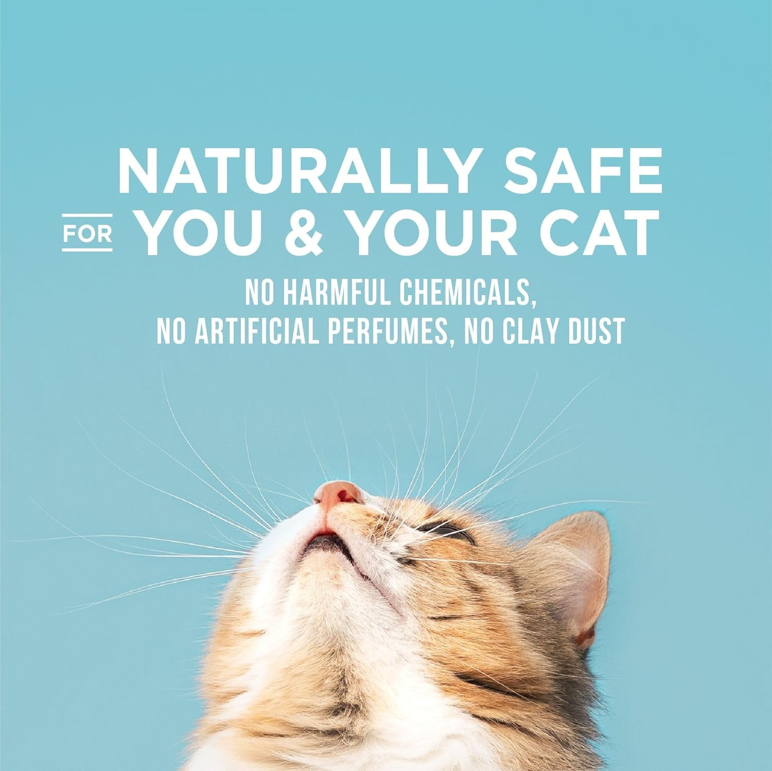 WORLD'S BEST CAT LITTER Poop Fighter Maximum Odor Defense - Long-Lasting Odor Control, Natural Ingredients, Quick Clumping, Flushable, 99% Dust Free, Easy Scooping - 15lb Bag