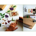 thumbnail image 3 of Active Hands DIY Art And Craft Gift Kit: Dried Press Flower Arrangement Hobby Craft Kit, Multicolor, 3 of 5