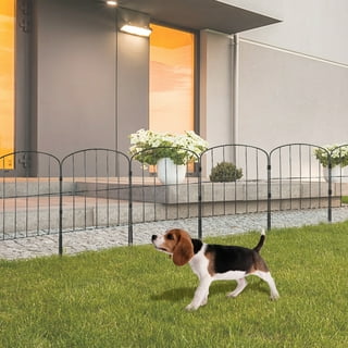 Fence spikes for dogs 2025