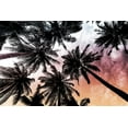 thumbnail image 2 of Prime, Marcus 18x13 Black Ornate Wood Framed with Double Matting Museum Art Print Titled - Sunset Palms 2, 2 of 4