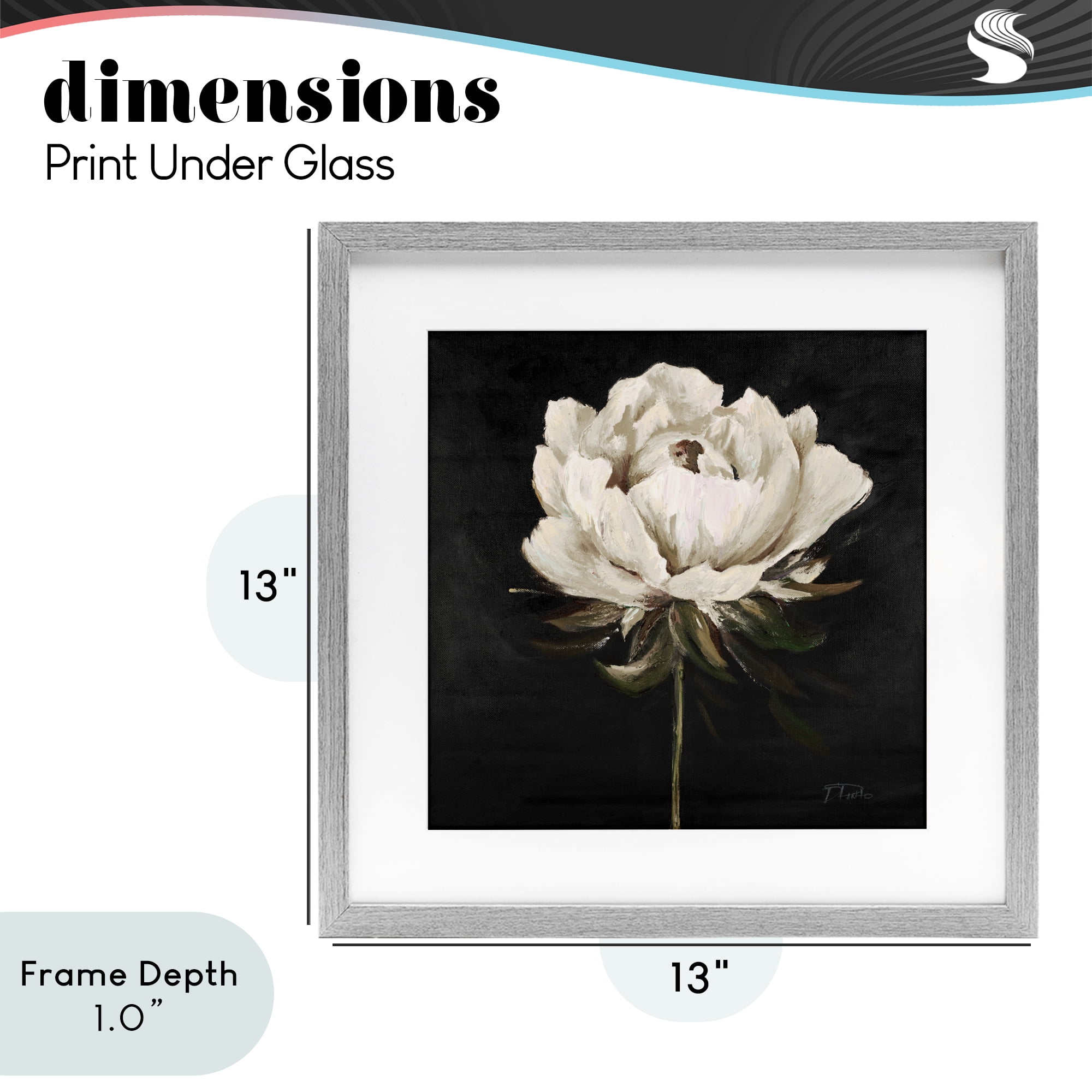 Stupell Industries Pretty Delicate Bloom on Black Gray Framed Print Under Glass, design by Patricia Pinto