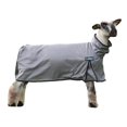 thumbnail image 1 of ProCool&acirc;&cent; Sheep Blanket with Reflective Piping, Medium, Gray, 1 of 1